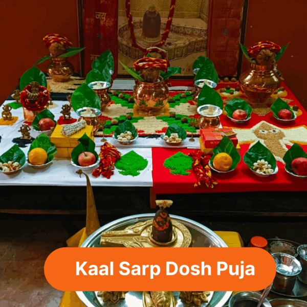 Kaal Sarp Dosh Puja