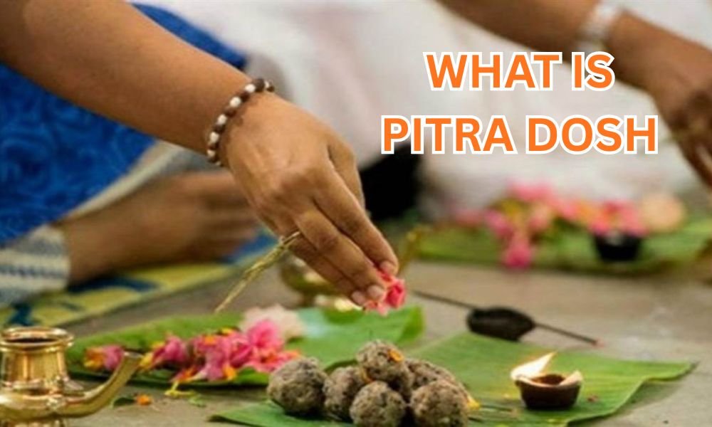 Read more about the article पितृ दोष क्या है: कारण, लक्षण और सरल उपाय | Pitra Dosh Guide